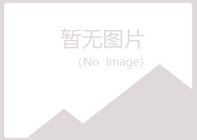 鹤山区又菱建设有限公司